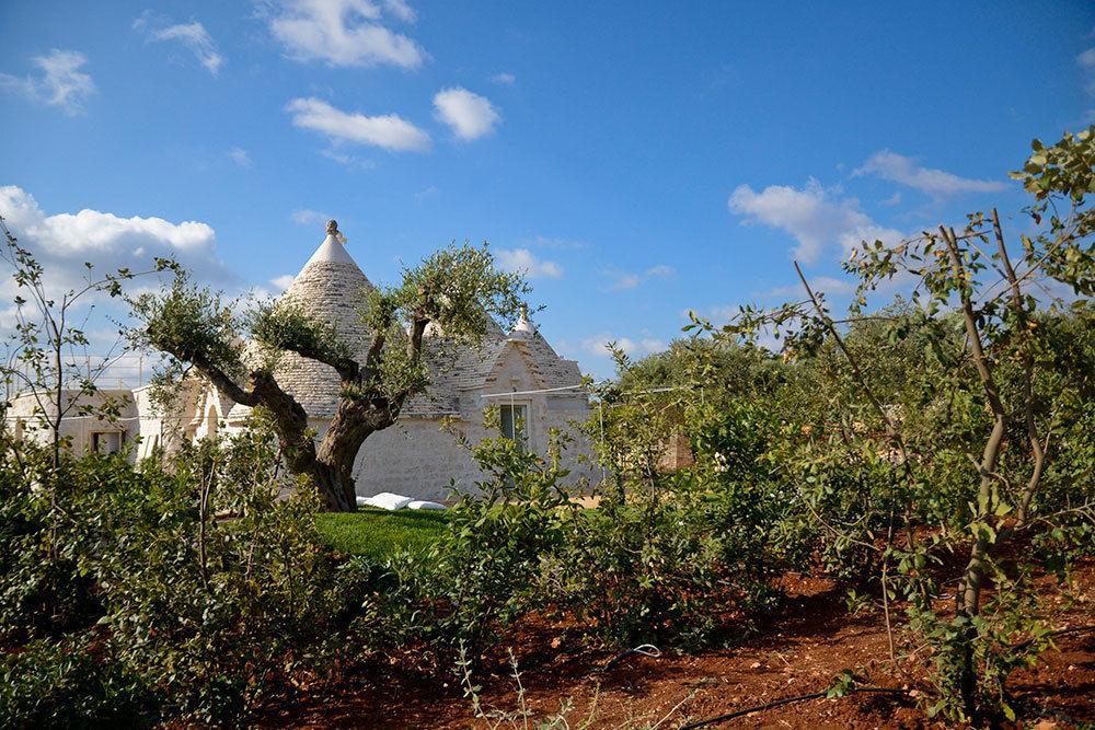 Leonardo Trulli Resort Locorotondo Εξωτερικό φωτογραφία